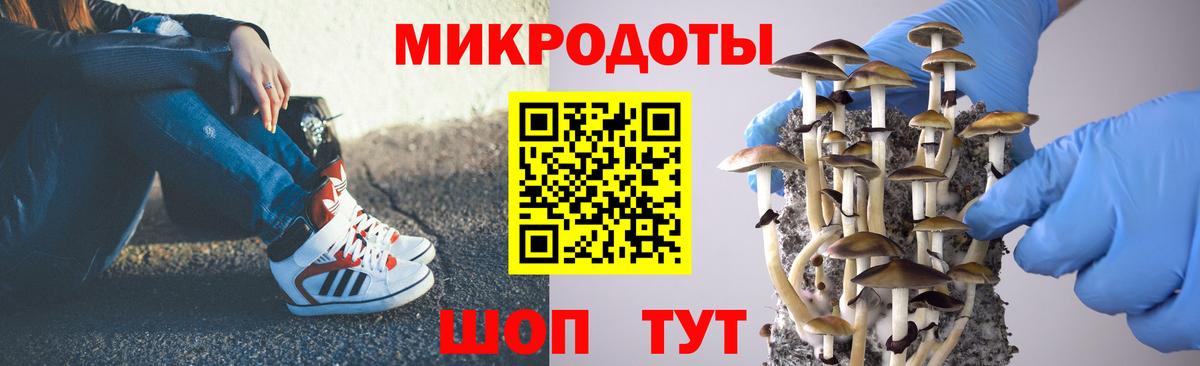 Галлюциногенные грибы Magic Shrooms  Вход с VPN  Ахтубинск  Псилоцибиновые грибы ЛСД 